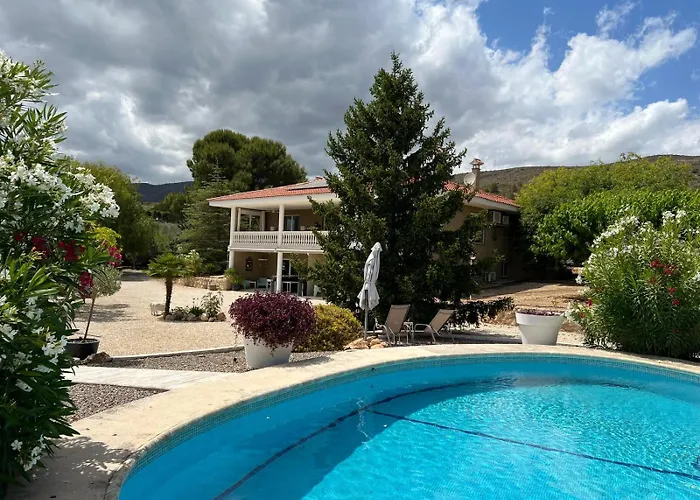 Atidos Vakantie Appartementen Ontinyent photo